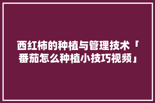 西红柿的种植与管理技术「番茄怎么种植小技巧视频」
