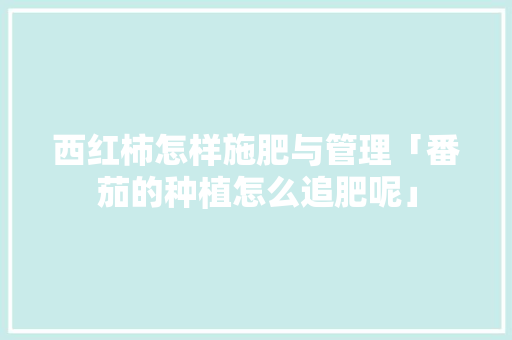 西红柿怎样施肥与管理「番茄的种植怎么追肥呢」 西红柿怎样施肥与管理「番茄的种植怎么追肥呢」 农业常识