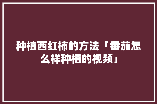 种植西红柿的方法「番茄怎么样种植的视频」 种植西红柿的方法「番茄怎么样种植的视频」 种植技巧