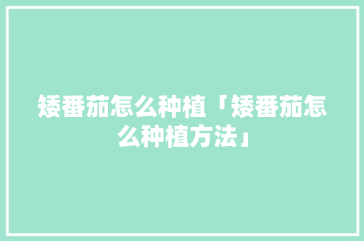 矮番茄怎么种植「矮番茄怎么种植方法」 矮番茄怎么种植「矮番茄怎么种植方法」 番茄病虫害防治