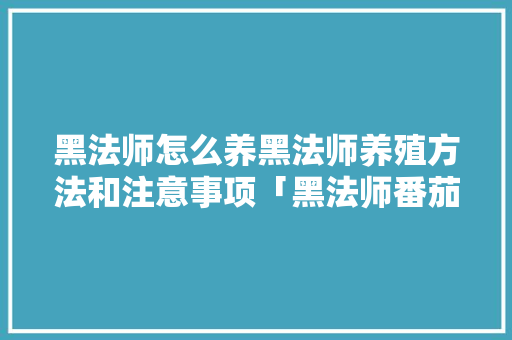 黑法师怎么养黑法师养殖方法和注意事项「黑法师番茄种植怎么管理的」 黑法师怎么养黑法师养殖方法和注意事项「黑法师番茄种植怎么管理的」 花朵知识