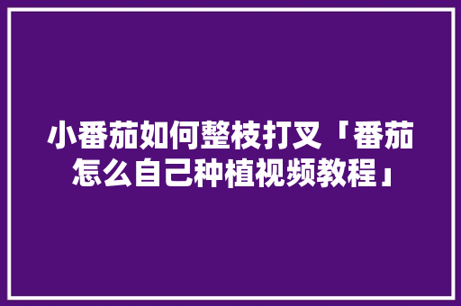 小番茄如何整枝打叉「番茄怎么自己种植视频教程」 小番茄如何整枝打叉「番茄怎么自己种植视频教程」 农业常识