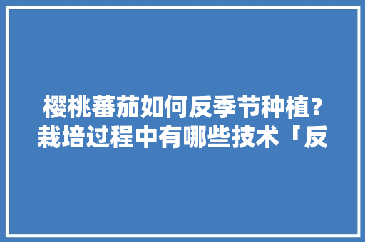 樱桃蕃茄如何反季节种植？栽培过程中有哪些技术「反季节番茄怎么种植的视频」 樱桃蕃茄如何反季节种植？栽培过程中有哪些技术「反季节番茄怎么种植的视频」 种植技巧