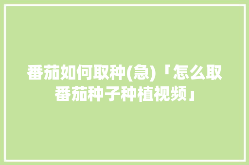 番茄如何取种(急)「怎么取番茄种子种植视频」 番茄如何取种(急)「怎么取番茄种子种植视频」 农业常识