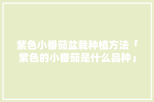 紫色小番茄盆栽种植方法「紫色的小番茄是什么品种」 紫色小番茄盆栽种植方法「紫色的小番茄是什么品种」 种植技巧