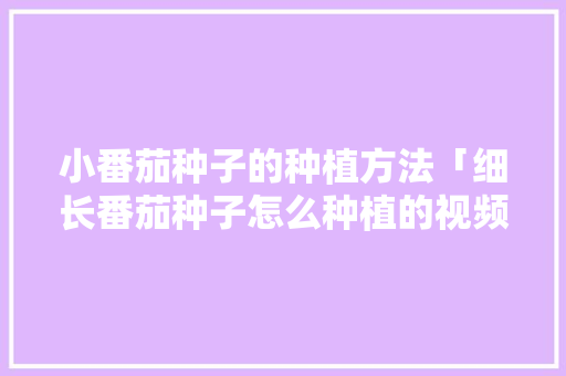 小番茄种子的种植方法「细长番茄种子怎么种植的视频」 小番茄种子的种植方法「细长番茄种子怎么种植的视频」 番茄种植技巧