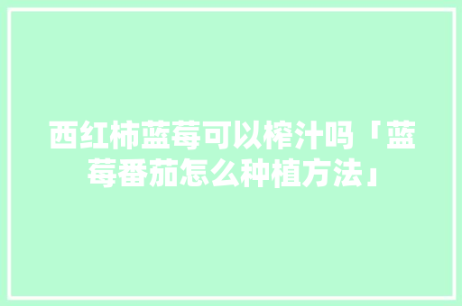 西红柿蓝莓可以榨汁吗「蓝莓番茄怎么种植方法」 番茄病虫害防治 西红柿蓝莓可以榨汁吗「蓝莓番茄怎么种植方法」 西红柿蓝莓可以榨汁吗「蓝莓番茄怎么种植方法」 番茄病虫害防治
