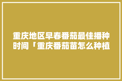 重庆地区早春番茄最佳播种时间「重庆番茄苗怎么种植的」