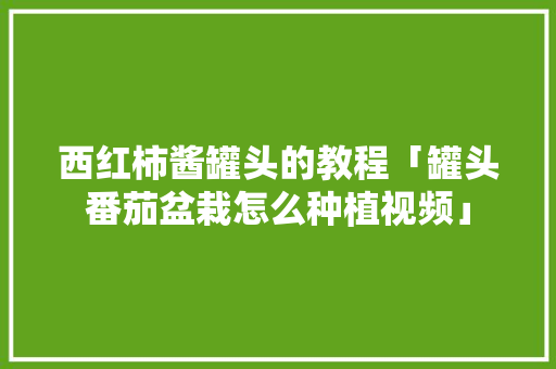 西红柿酱罐头的教程「罐头番茄盆栽怎么种植视频」 种植技巧 西红柿酱罐头的教程「罐头番茄盆栽怎么种植视频」 西红柿酱罐头的教程「罐头番茄盆栽怎么种植视频」 种植技巧
