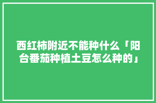 西红柿附近不能种什么「阳台番茄种植土豆怎么种的」 西红柿附近不能种什么「阳台番茄种植土豆怎么种的」 植物种类
