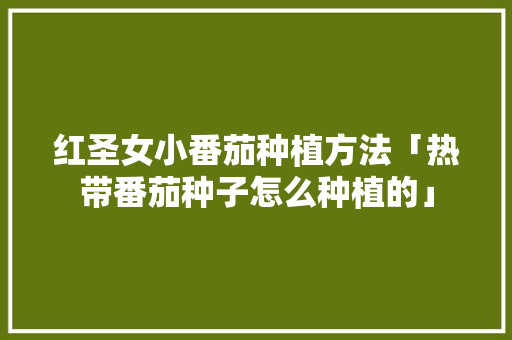红圣女小番茄种植方法「热带番茄种子怎么种植的」 红圣女小番茄种植方法「热带番茄种子怎么种植的」 农业常识