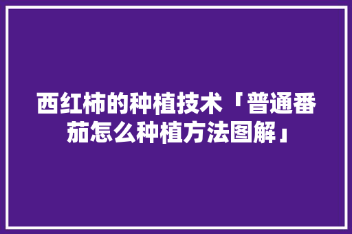 西红柿的种植技术「普通番茄怎么种植方法图解」 西红柿的种植技术「普通番茄怎么种植方法图解」 土壤施肥