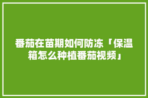 番茄在苗期如何防冻「保温箱怎么种植番茄视频」 番茄在苗期如何防冻「保温箱怎么种植番茄视频」 番茄病虫害防治