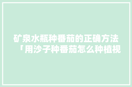矿泉水瓶种番茄的正确方法「用沙子种番茄怎么种植视频」 矿泉水瓶种番茄的正确方法「用沙子种番茄怎么种植视频」 花朵知识