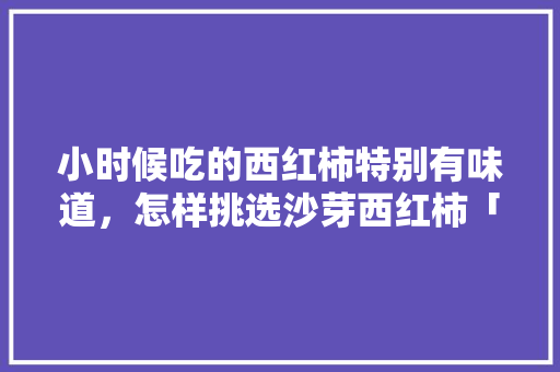小时候吃的西红柿特别有味道，怎样挑选沙芽西红柿「老品种沙瓤番茄怎么种植的」 小时候吃的西红柿特别有味道，怎样挑选沙芽西红柿「老品种沙瓤番茄怎么种植的」 植物种类