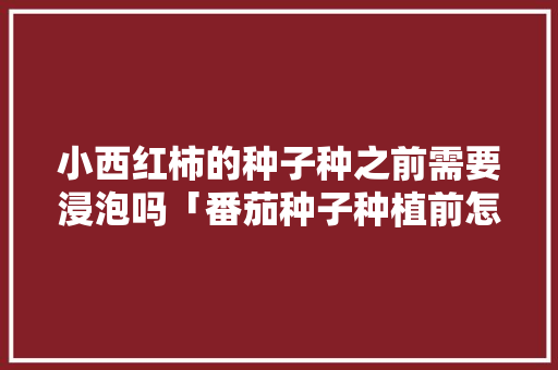 小西红柿的种子种之前需要浸泡吗「番茄种子种植前怎么处理好」 小西红柿的种子种之前需要浸泡吗「番茄种子种植前怎么处理好」 植物种类
