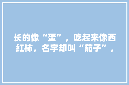 长的像“蛋”，吃起来像西红柿，名字却叫“茄子”，这种蔬菜咋那么奇怪？如何种植呢「黄金番茄怎么种植视频」 长的像“蛋”，吃起来像西红柿，名字却叫“茄子”，这种蔬菜咋那么奇怪？如何种植呢「黄金番茄怎么种植视频」 植物种类