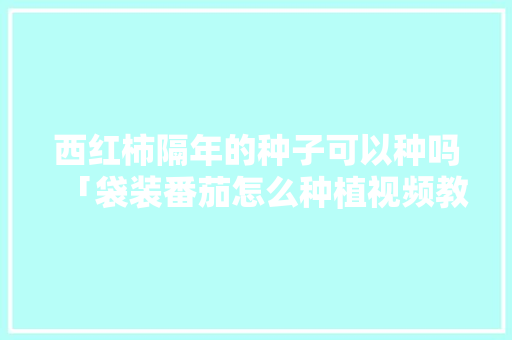 西红柿隔年的种子可以种吗「袋装番茄怎么种植视频教程」 西红柿隔年的种子可以种吗「袋装番茄怎么种植视频教程」 番茄种植技巧