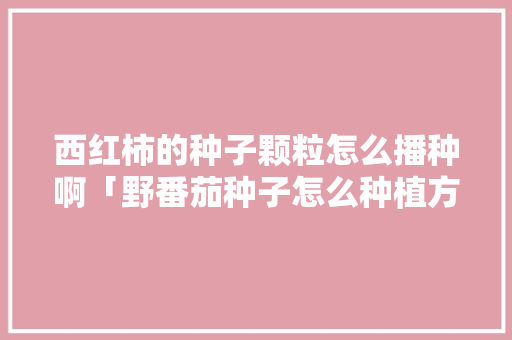西红柿的种子颗粒怎么播种啊「野番茄种子怎么种植方法」 西红柿的种子颗粒怎么播种啊「野番茄种子怎么种植方法」 植物种类