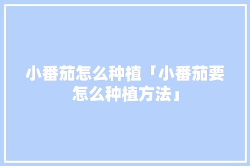 小番茄怎么种植「小番茄要怎么种植方法」 小番茄怎么种植「小番茄要怎么种植方法」 农业常识