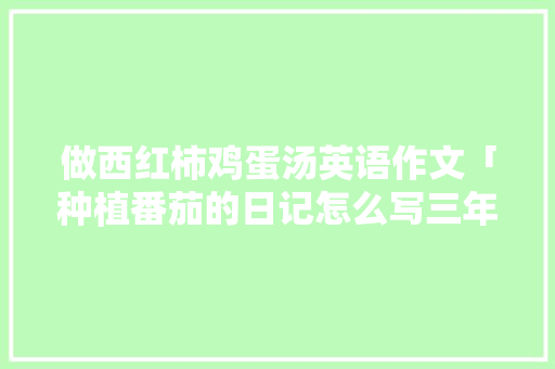 做西红柿鸡蛋汤英语作文「种植番茄的日记怎么写三年级」
