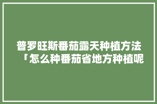 普罗旺斯番茄露天种植方法「怎么种番茄省地方种植呢」 土壤施肥 普罗旺斯番茄露天种植方法「怎么种番茄省地方种植呢」 普罗旺斯番茄露天种植方法「怎么种番茄省地方种植呢」 土壤施肥