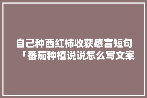 自己种西红柿收获感言短句「番茄种植说说怎么写文案」 自己种西红柿收获感言短句「番茄种植说说怎么写文案」 种植技巧