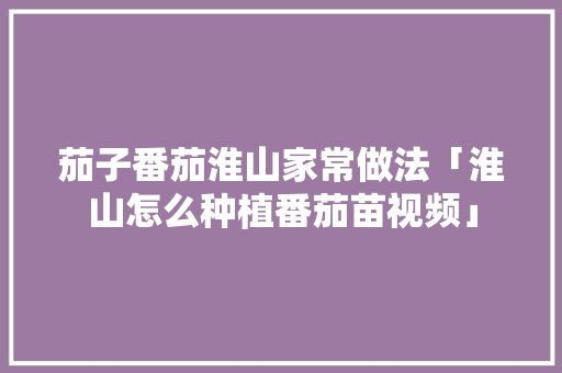 茄子番茄淮山家常做法「淮山怎么种植番茄苗视频」 茄子番茄淮山家常做法「淮山怎么种植番茄苗视频」 番茄种植技巧