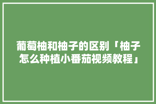 葡萄柚和柚子的区别「柚子怎么种植小番茄视频教程」