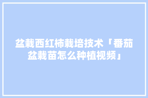 盆栽西红柿栽培技术「番茄盆栽苗怎么种植视频」 盆栽西红柿栽培技术「番茄盆栽苗怎么种植视频」 植物种类
