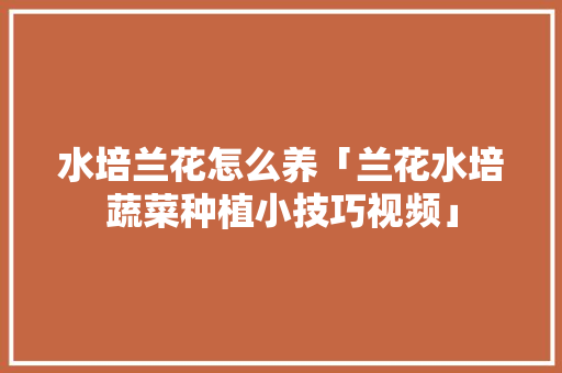 水培兰花怎么养「兰花水培蔬菜种植小技巧视频」