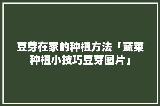 豆芽在家的种植方法「蔬菜种植小技巧豆芽图片」