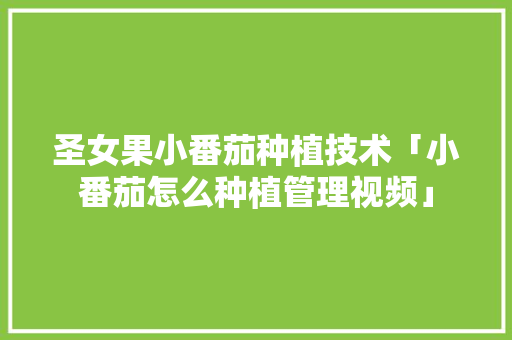 圣女果小番茄种植技术「小番茄怎么种植管理视频」 番茄病虫害防治 圣女果小番茄种植技术「小番茄怎么种植管理视频」 番茄病虫害防治
