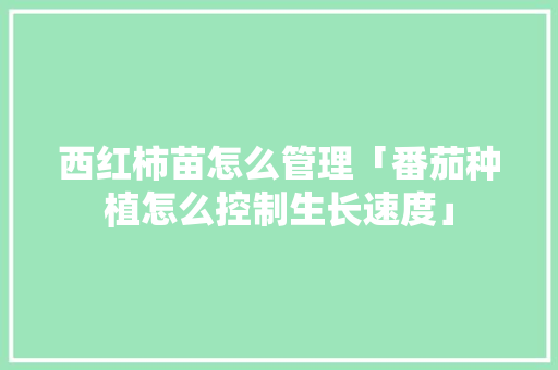 西红柿苗怎么管理「番茄种植怎么控制生长速度」 西红柿苗怎么管理「番茄种植怎么控制生长速度」 花朵知识