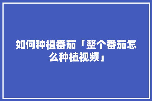 如何种植番茄「整个番茄怎么种植视频」 如何种植番茄「整个番茄怎么种植视频」 土壤施肥