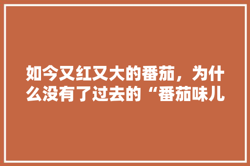 如今又红又大的番茄，为什么没有了过去的“番茄味儿”「白醋栗番茄怎么种植视频」 如今又红又大的番茄，为什么没有了过去的“番茄味儿”「白醋栗番茄怎么种植视频」 番茄病虫害防治