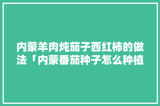 内蒙羊肉炖茄子西红柿的做法「内蒙番茄种子怎么种植的呢」 内蒙羊肉炖茄子西红柿的做法「内蒙番茄种子怎么种植的呢」 番茄种植技巧