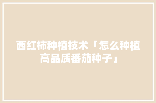 西红柿种植技术「怎么种植高品质番茄种子」 西红柿种植技术「怎么种植高品质番茄种子」 农业常识