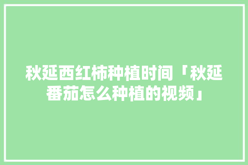 秋延西红柿种植时间「秋延番茄怎么种植的视频」 秋延西红柿种植时间「秋延番茄怎么种植的视频」 番茄病虫害防治