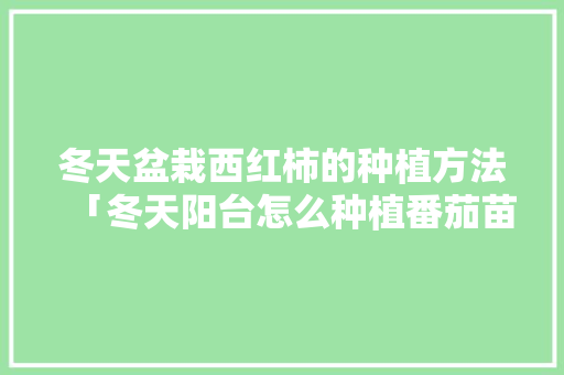 冬天盆栽西红柿的种植方法「冬天阳台怎么种植番茄苗」 冬天盆栽西红柿的种植方法「冬天阳台怎么种植番茄苗」 植物种类