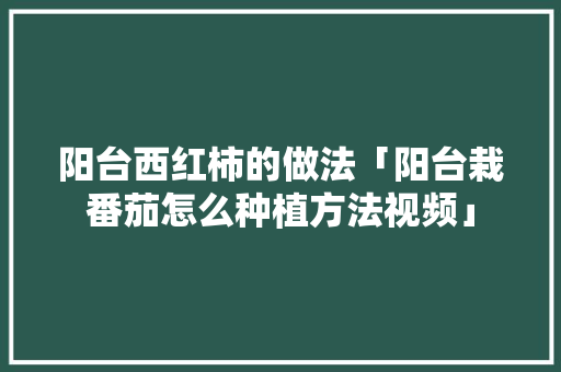 阳台西红柿的做法「阳台栽番茄怎么种植方法视频」 番茄病虫害防治 阳台西红柿的做法「阳台栽番茄怎么种植方法视频」 阳台西红柿的做法「阳台栽番茄怎么种植方法视频」 番茄病虫害防治