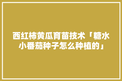 西红柿黄瓜育苗技术「糖水小番茄种子怎么种植的」