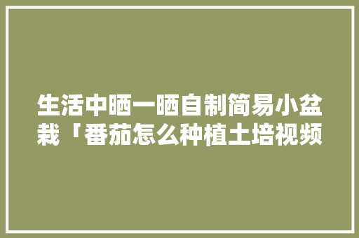 生活中晒一晒自制简易小盆栽「番茄怎么种植土培视频」 生活中晒一晒自制简易小盆栽「番茄怎么种植土培视频」 种植技巧