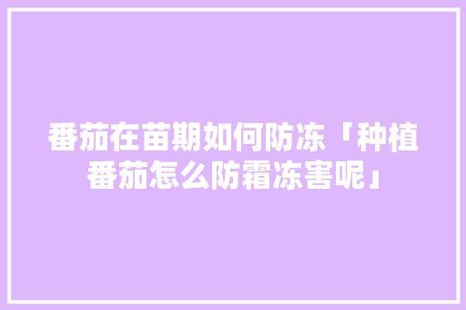 番茄在苗期如何防冻「种植番茄怎么防霜冻害呢」 番茄在苗期如何防冻「种植番茄怎么防霜冻害呢」 农业常识