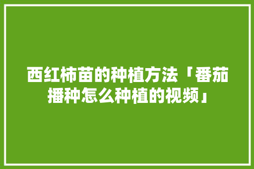 西红柿苗的种植方法「番茄播种怎么种植的视频」 农业常识 西红柿苗的种植方法「番茄播种怎么种植的视频」 西红柿苗的种植方法「番茄播种怎么种植的视频」 农业常识