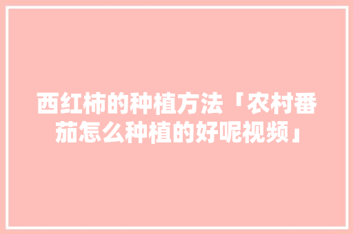 西红柿的种植方法「农村番茄怎么种植的好呢视频」 西红柿的种植方法「农村番茄怎么种植的好呢视频」 土壤施肥