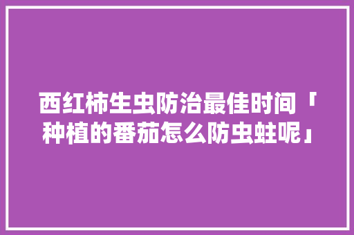 西红柿生虫防治最佳时间「种植的番茄怎么防虫蛀呢」