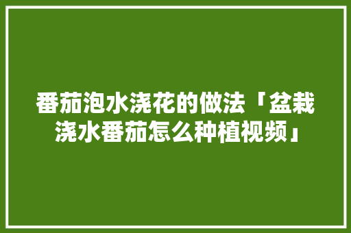 番茄泡水浇花的做法「盆栽浇水番茄怎么种植视频」 土壤施肥 番茄泡水浇花的做法「盆栽浇水番茄怎么种植视频」 番茄泡水浇花的做法「盆栽浇水番茄怎么种植视频」 土壤施肥