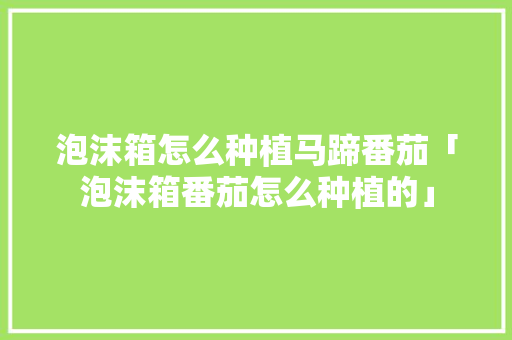 泡沫箱怎么种植马蹄番茄「泡沫箱番茄怎么种植的」 泡沫箱怎么种植马蹄番茄「泡沫箱番茄怎么种植的」 番茄种植技巧