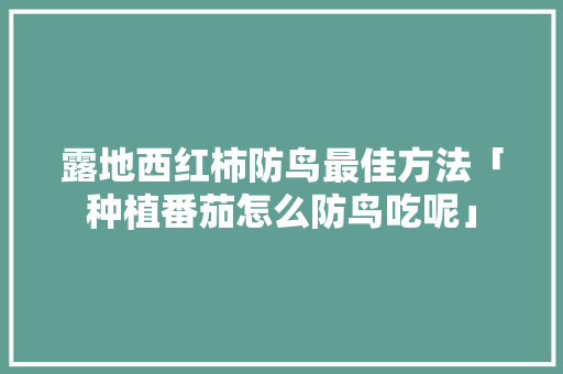 露地西红柿防鸟最佳方法「种植番茄怎么防鸟吃呢」